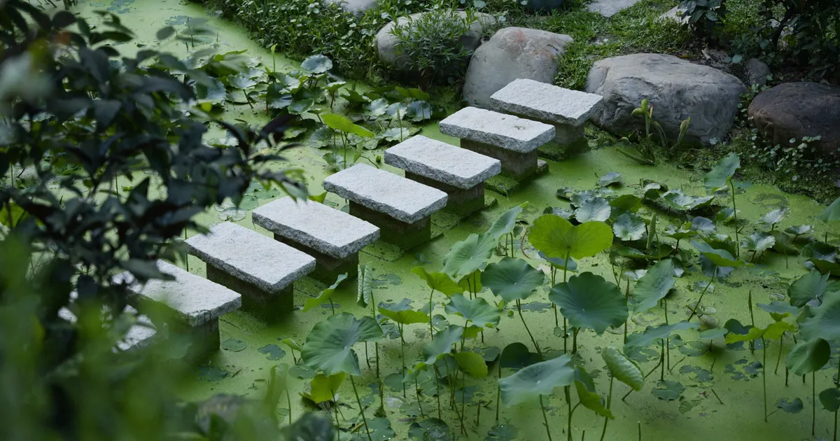 池の上に並ぶ石の飛び石