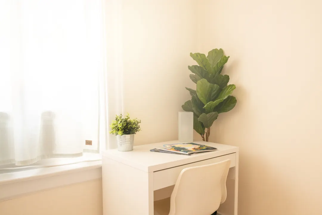 観葉植物と白い机のある部屋